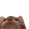 Tasty