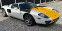 GTGuru_OtherFordGT