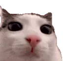 plink