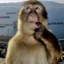 monke