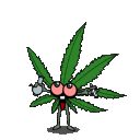 weed25