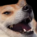 DogeKek