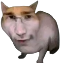 meowkiplier