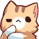 gato_duvida
