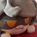 catv catv