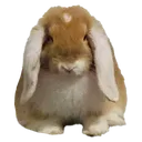 peanut_gremlin