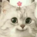 flour
