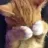 :shy: shy