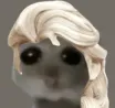 elsa elsa