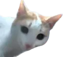 smudge