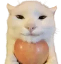 chillincat