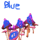 natsblueshrooms