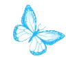 bluenaturebutterfly2