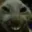 Mole