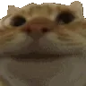 acatyes