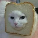 pan pan