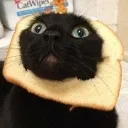 depangato depangato