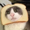 degatopan