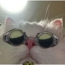 nanamipeek