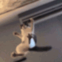 CatKick Discord emoji