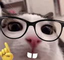 catnerdge