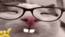 nerdgecat