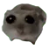 sed