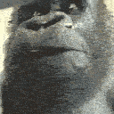 DE_ayoo animated GIF emoji - Trophy's Paradise