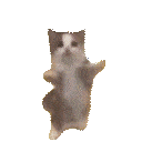 DE_happycat animated GIF emoji from Trophy's Paradise