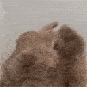 A brown bunny rhythmically bobbing its head up and down in a loop.