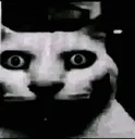 the_horror