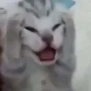 stressbro stressbro