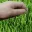 touchingsomegrass