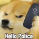 DoggoPolice_HouseOfPacks DoggoPolice_HouseOfPacks