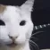wehehe