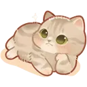 CatThinking