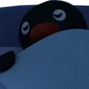 pingu_sleep