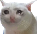 sadcar