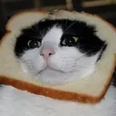 catbread