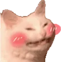 blushcat