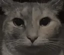 mern2