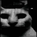 CatDespair