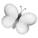 sep_dcn_whitebutterfly_NF2U