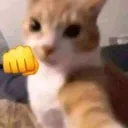 Catpunch