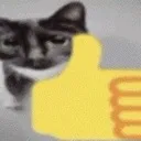 cat_good