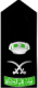IMG_5957 Discord Emoji | 𝗠𝘂𝗻𝘁𝗮𝗱𝗮 ~ 𝗚𝗿𝗲𝗻𝘃𝗶𝗹𝗹𝗲 🌃