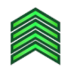 IMG_5968 Discord Emoji | 𝗠𝘂𝗻𝘁𝗮𝗱𝗮 ~ 𝗚𝗿𝗲𝗻𝘃𝗶𝗹𝗹𝗲 🌃