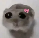 Dontyoumeanit Dontyoumeanit
