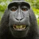 monke