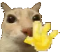 gCatWave